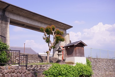 f0217507_2024894.jpg