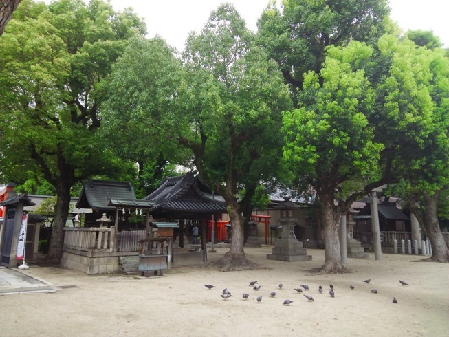 e0033713_10091224.jpg