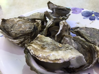 c0051529_13331526.jpg