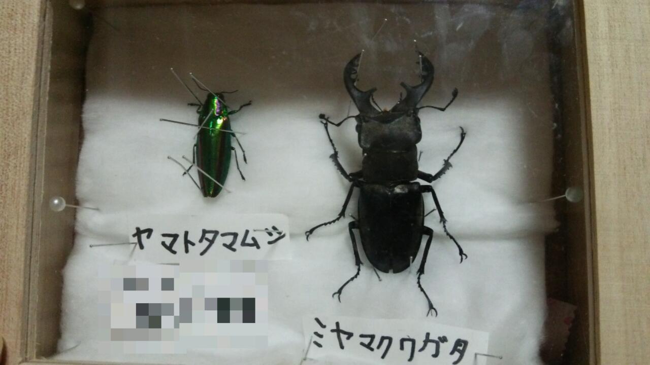 c0337631_00394237.jpg