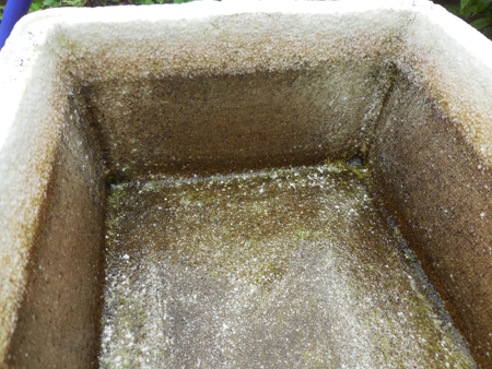 e0097534_1863065.jpg