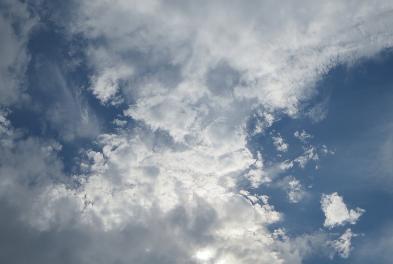 b0301236_16411310.jpg