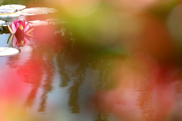 a0242438_19402226.jpg