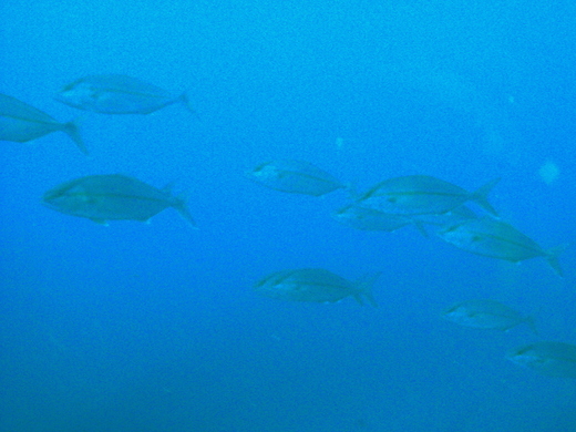 b0236647_12343580.jpg