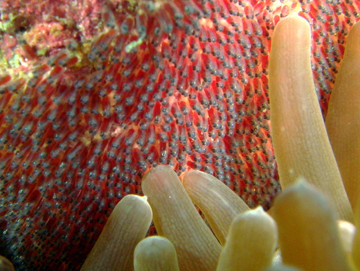 b0236647_12372373.jpg