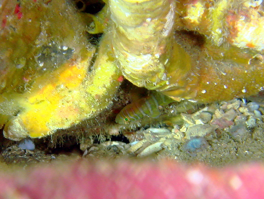 b0236647_12382152.jpg