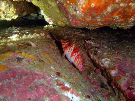 b0236647_1242455.jpg