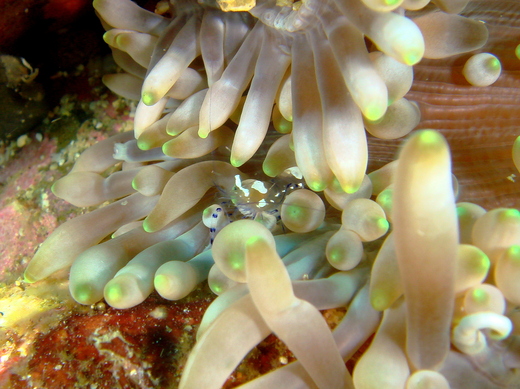 b0236647_12432229.jpg