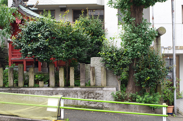 c0080357_237199.jpg