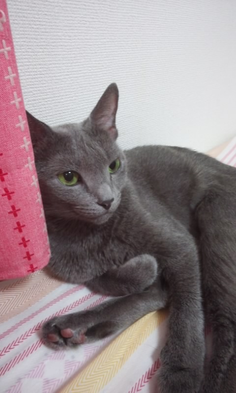 f0200871_0331837.jpg