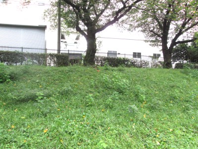 c0112172_2357362.jpg