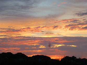 b0057675_10053000.jpg