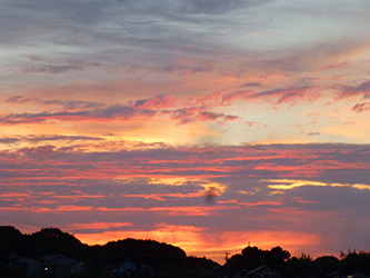 b0057675_10060211.jpg
