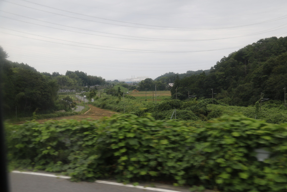 d0187275_17492567.jpg