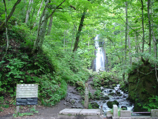 d0165378_13185999.jpg