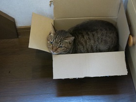 e0130185_12102117.jpg