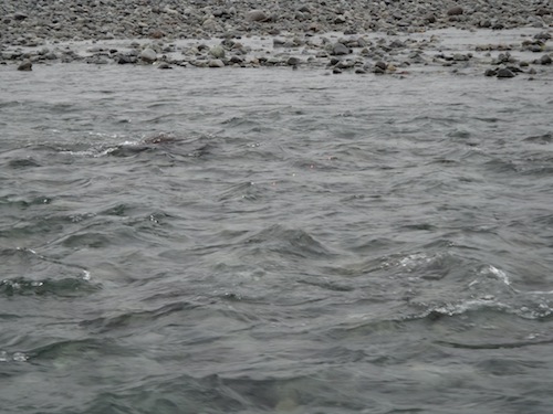 c0146788_8284571.jpg