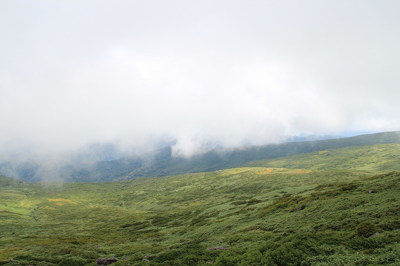 b0207491_15495645.jpg