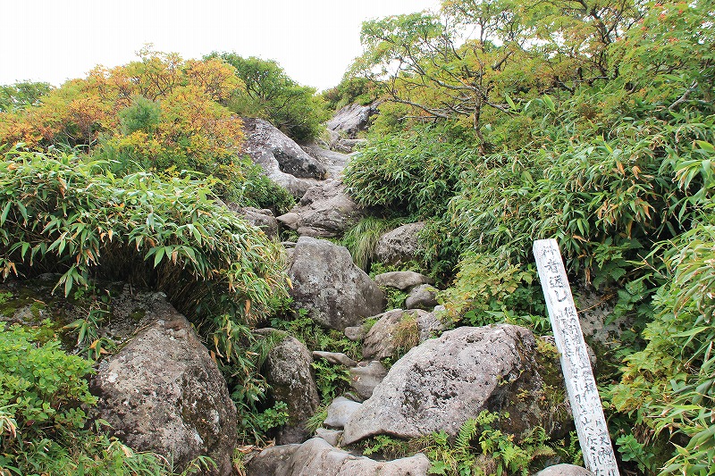 b0207491_15501274.jpg