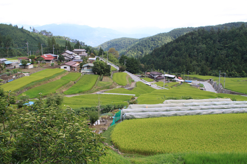 d0133592_1344451.jpg
