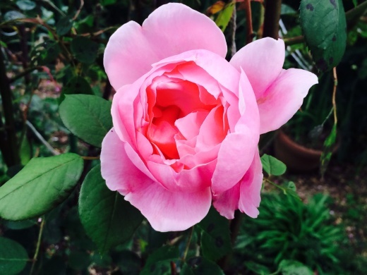 f0201297_22075133.jpg