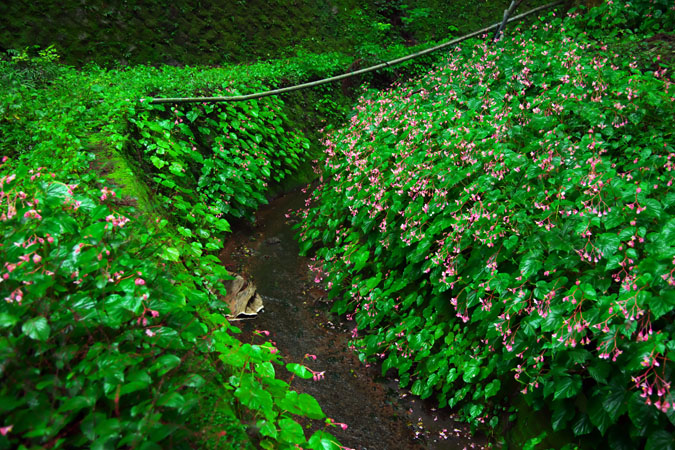 a0263109_2128027.jpg