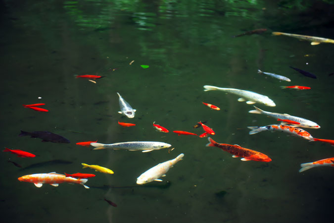 a0263109_21343270.jpg