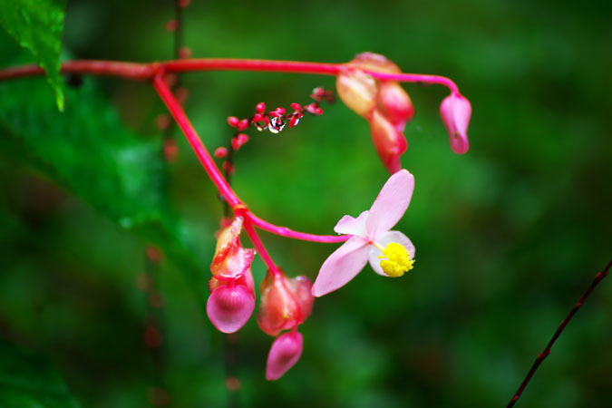 a0263109_21343853.jpg