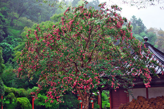 a0263109_21354737.jpg