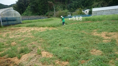 b0187620_22004695.jpg