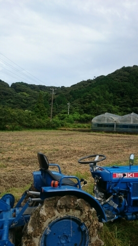 b0187620_22010468.jpg