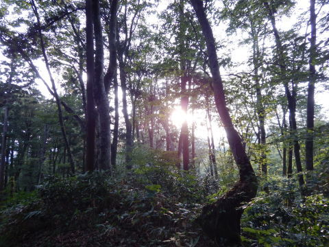 f0118332_00512004.jpg