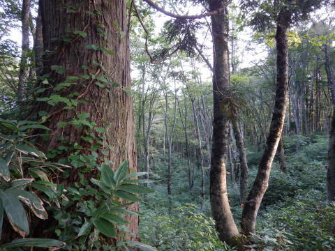 f0118332_00514863.jpg