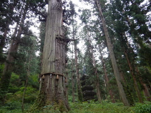 f0118332_00531751.jpg