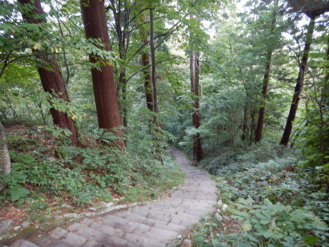 f0118332_00535830.jpg