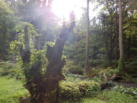 f0118332_00545816.jpg