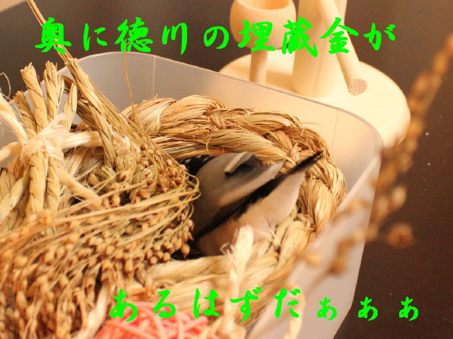 c0365734_00123965.jpg