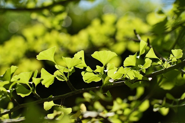 a0242438_18244189.jpg