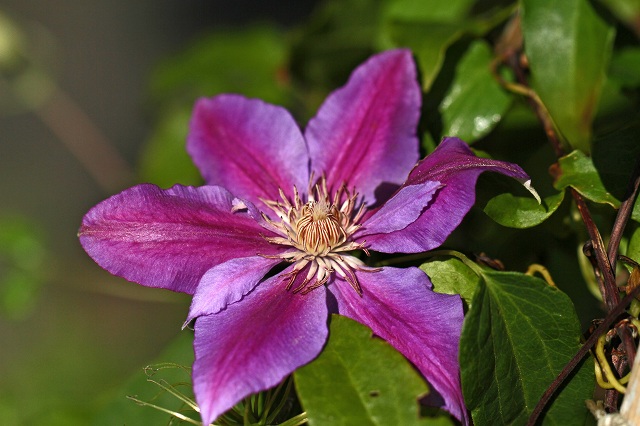 a0242438_18261547.jpg