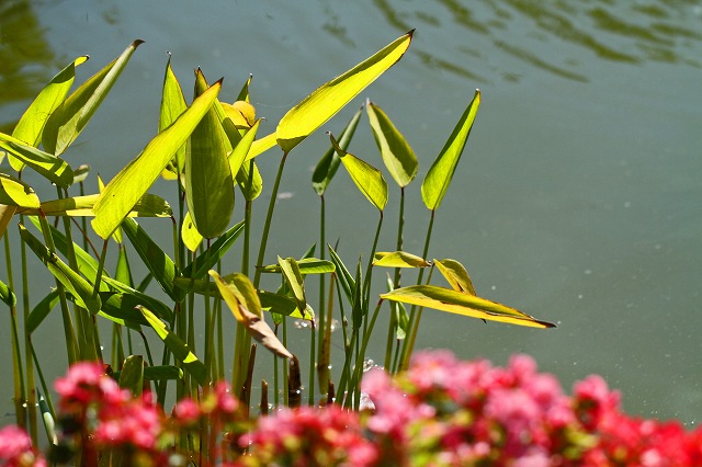 a0242438_1826979.jpg