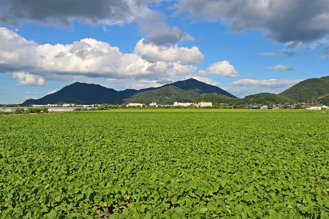 a0242438_18271643.jpg