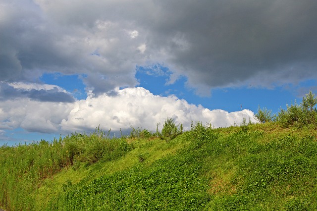 a0242438_18274066.jpg