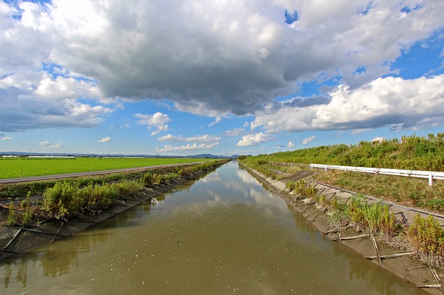 a0242438_18274886.jpg