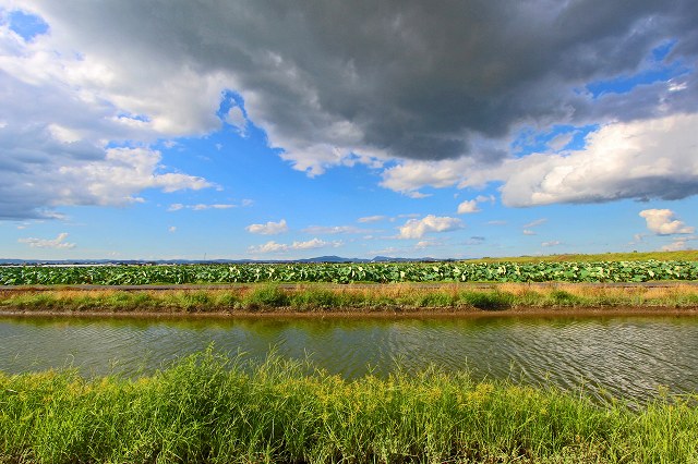 a0242438_18281715.jpg