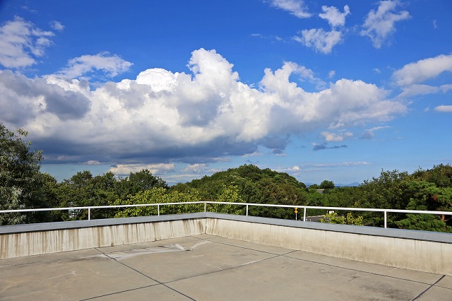 a0242438_18284789.jpg