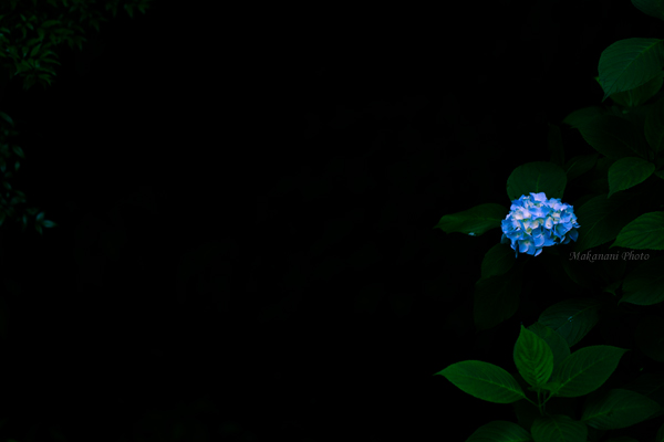 d0337539_22220726.jpg