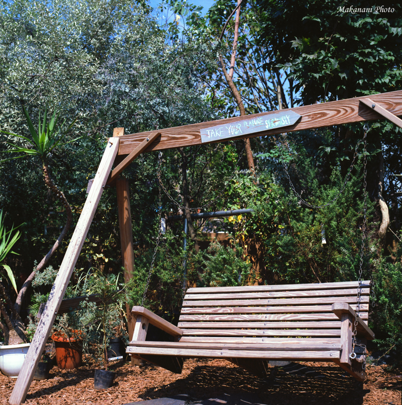 d0337539_22244096.jpg