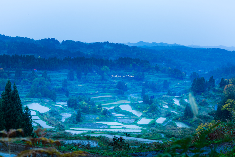 d0337539_22244946.jpg
