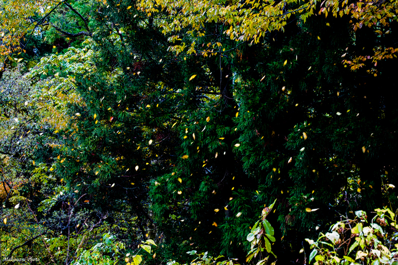 d0337539_22250122.jpg