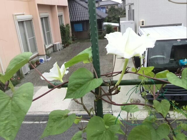 c0194042_21175885.jpg